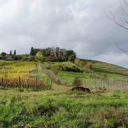 Fattoria Bio Pieve A Salti *